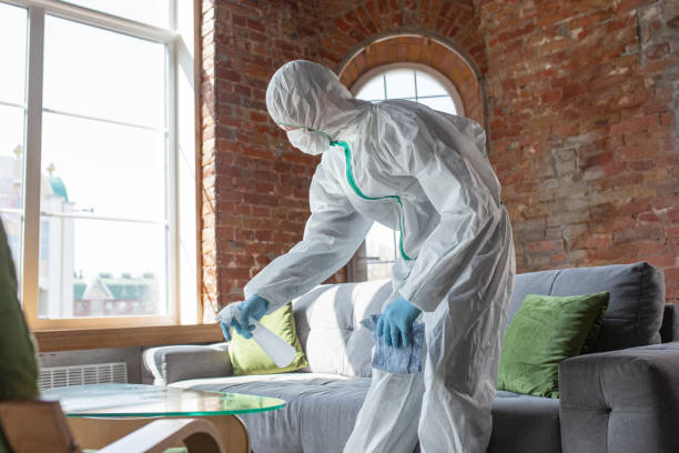 Why You Should Choose Our Mold Remediation Services in Mill Plain, CT